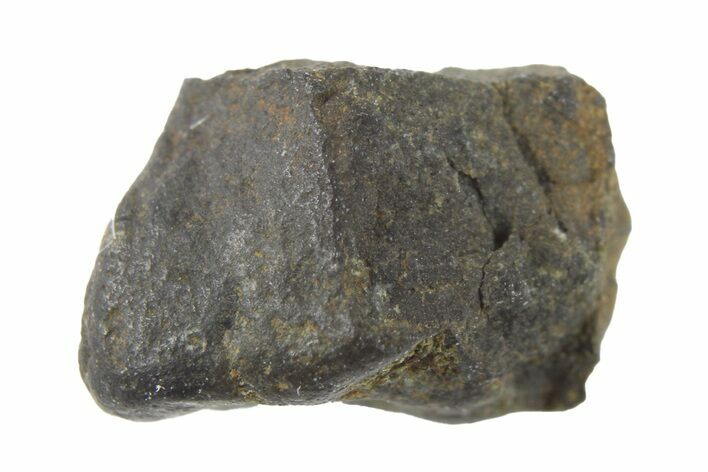 Aguas Zarcas Carbonaceous Chondrite ( g) Fragment #266092